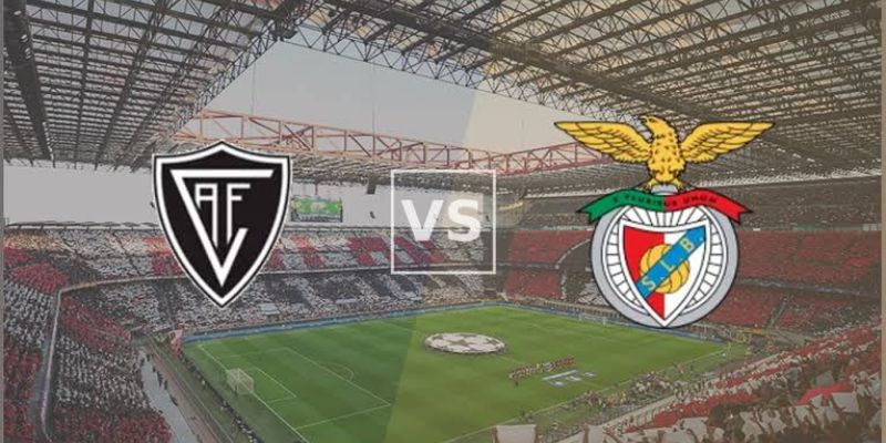 Nhận Định Benfica Vs Viseu Lúc 02H30 Ngày 10/08 - Vô Địch Bồ Đào Nha 1 Nhận Định Benfica Vs Viseu Lúc 02H30 Ngày 10/08 - Vô Địch Bồ Đào Nha